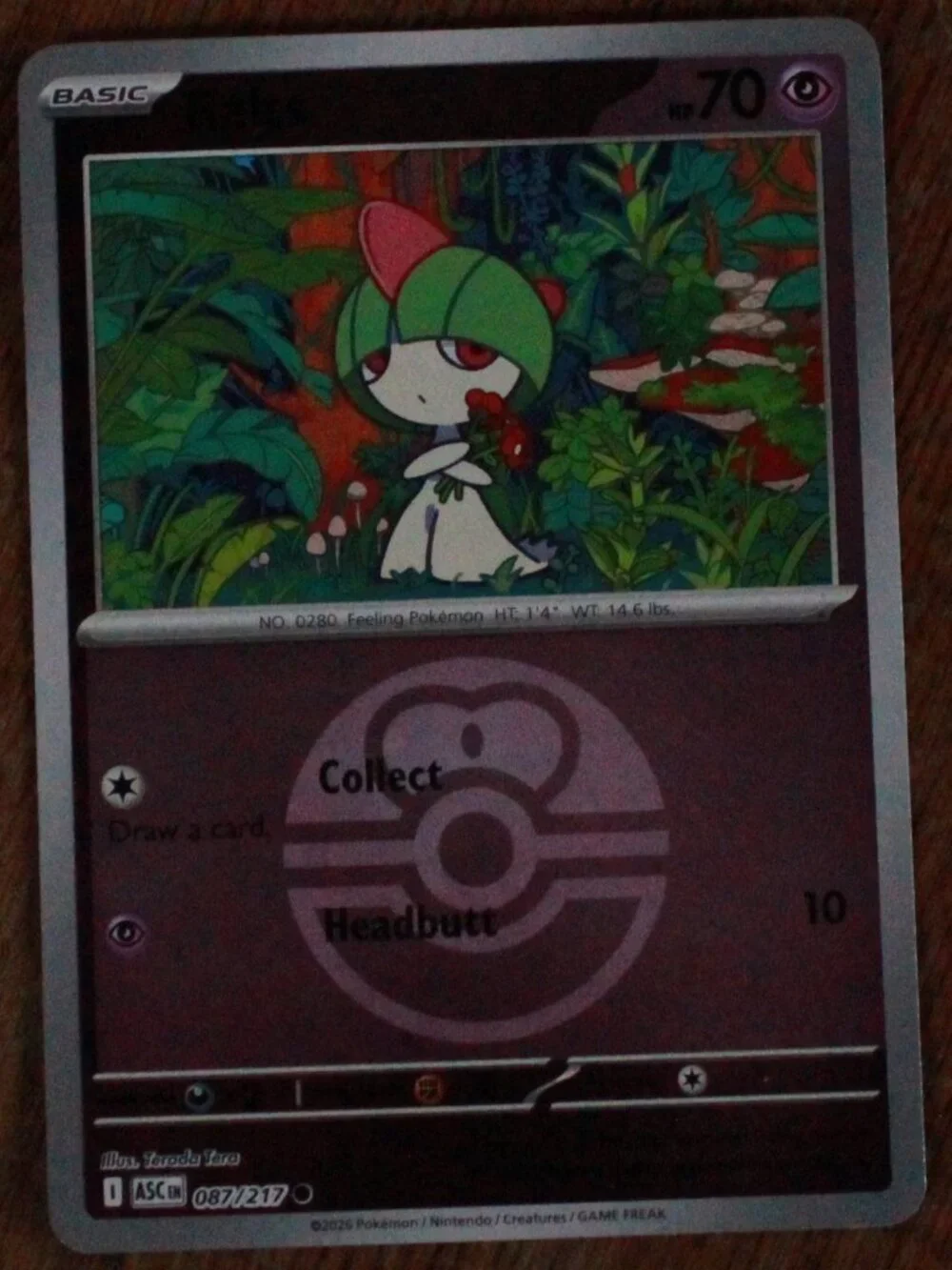 pokemon cards starter pack Classic starter Pokmon cards return for the TCG's 25th anniversary